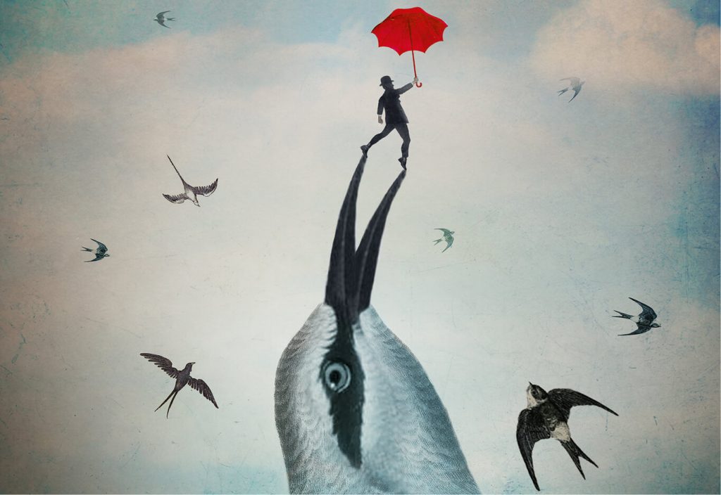 © Catrin, Adobe Stock